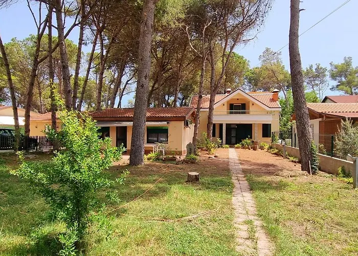 Bezhani Standard Villa