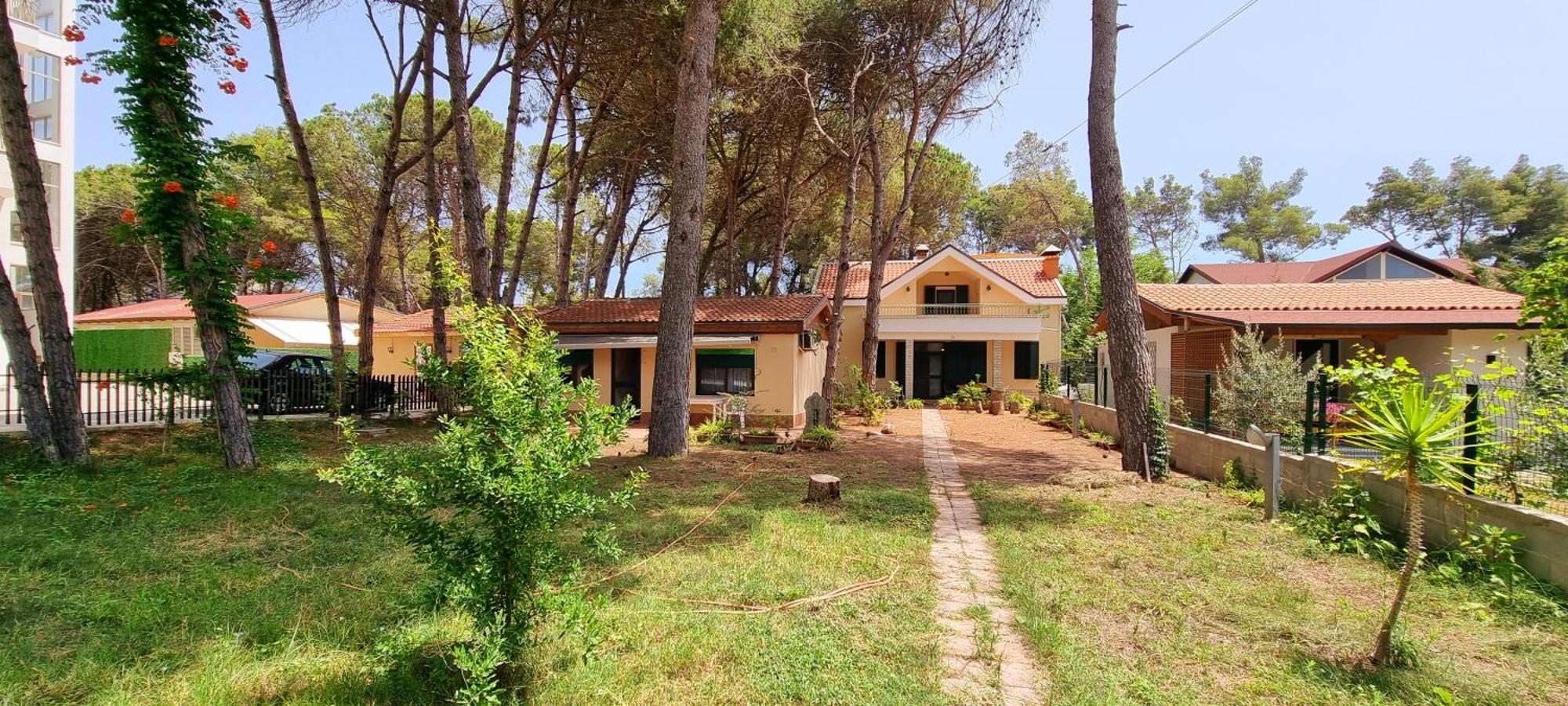 Bezhani Standard Villa
