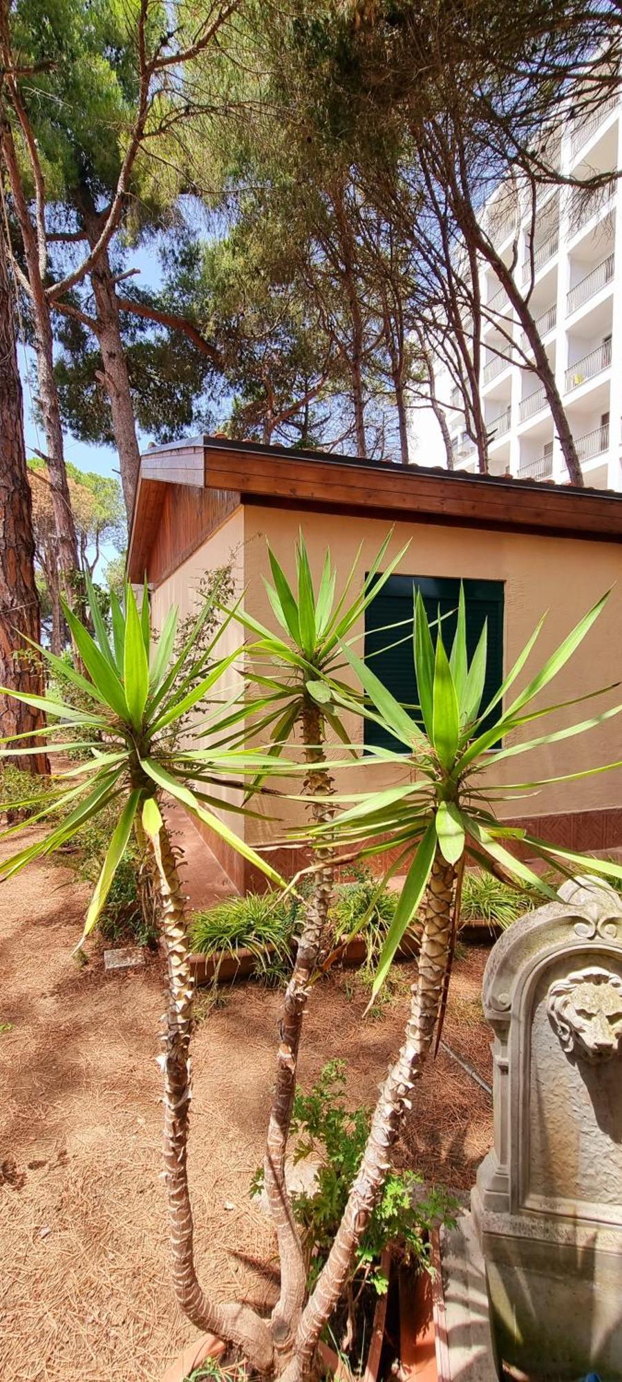 Villa Bezhani Standard *